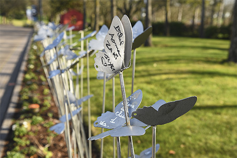 Décoration en acier galvanisé : papillons en acier décoratif