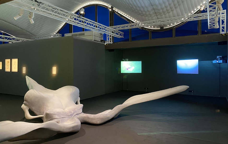 AMENAGEMENT EVENEMENTIEL ART EXPLORA