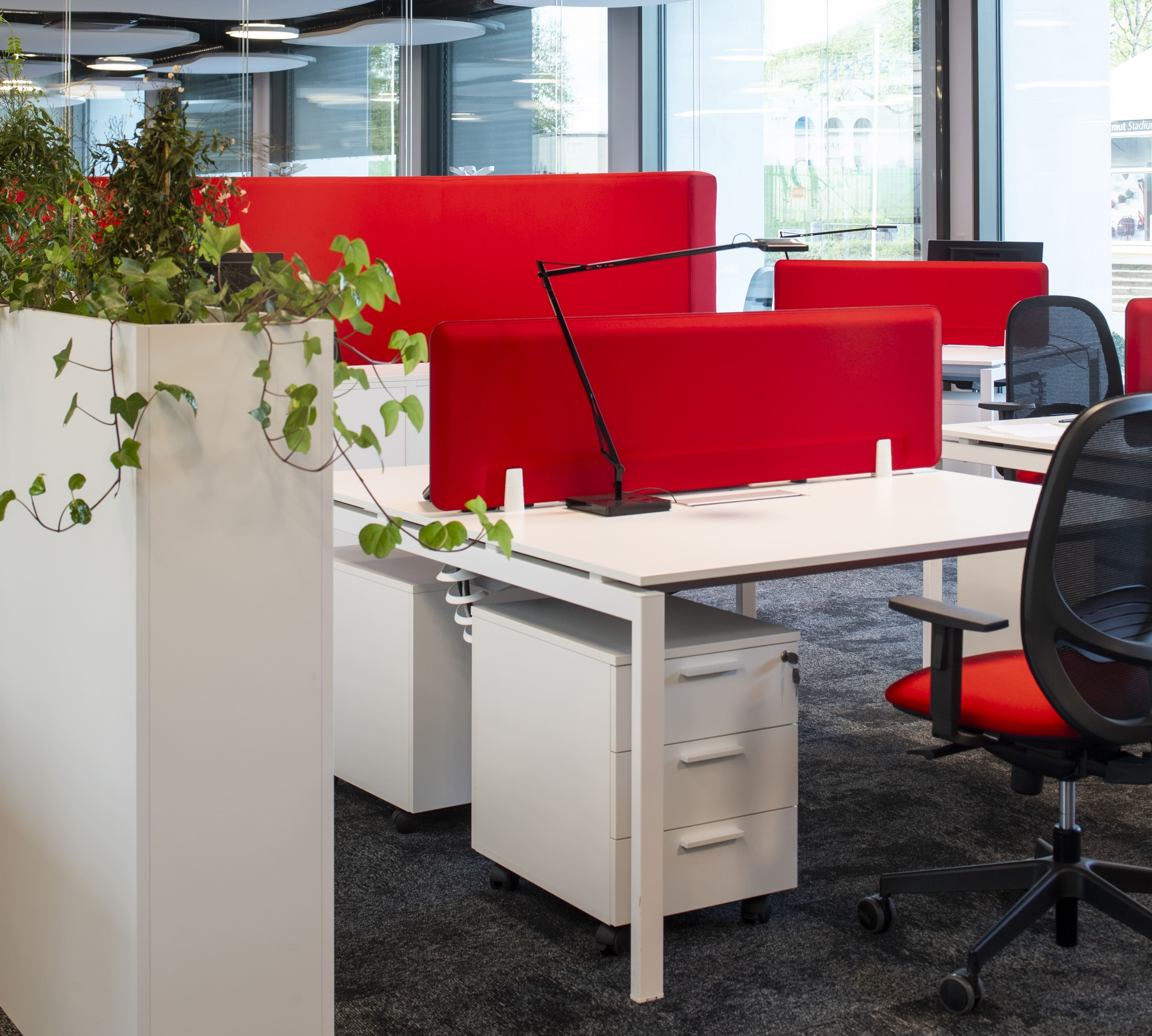 Plantes bureau
