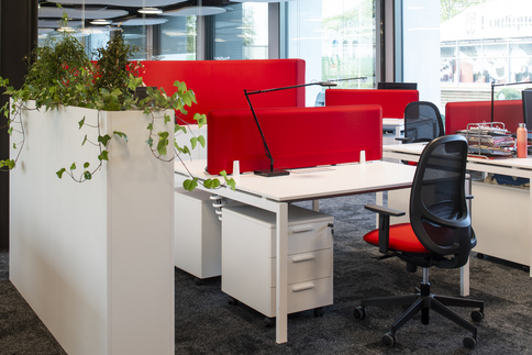 Agencement bureaux d'entreprise sur mesure - LOU Rugby