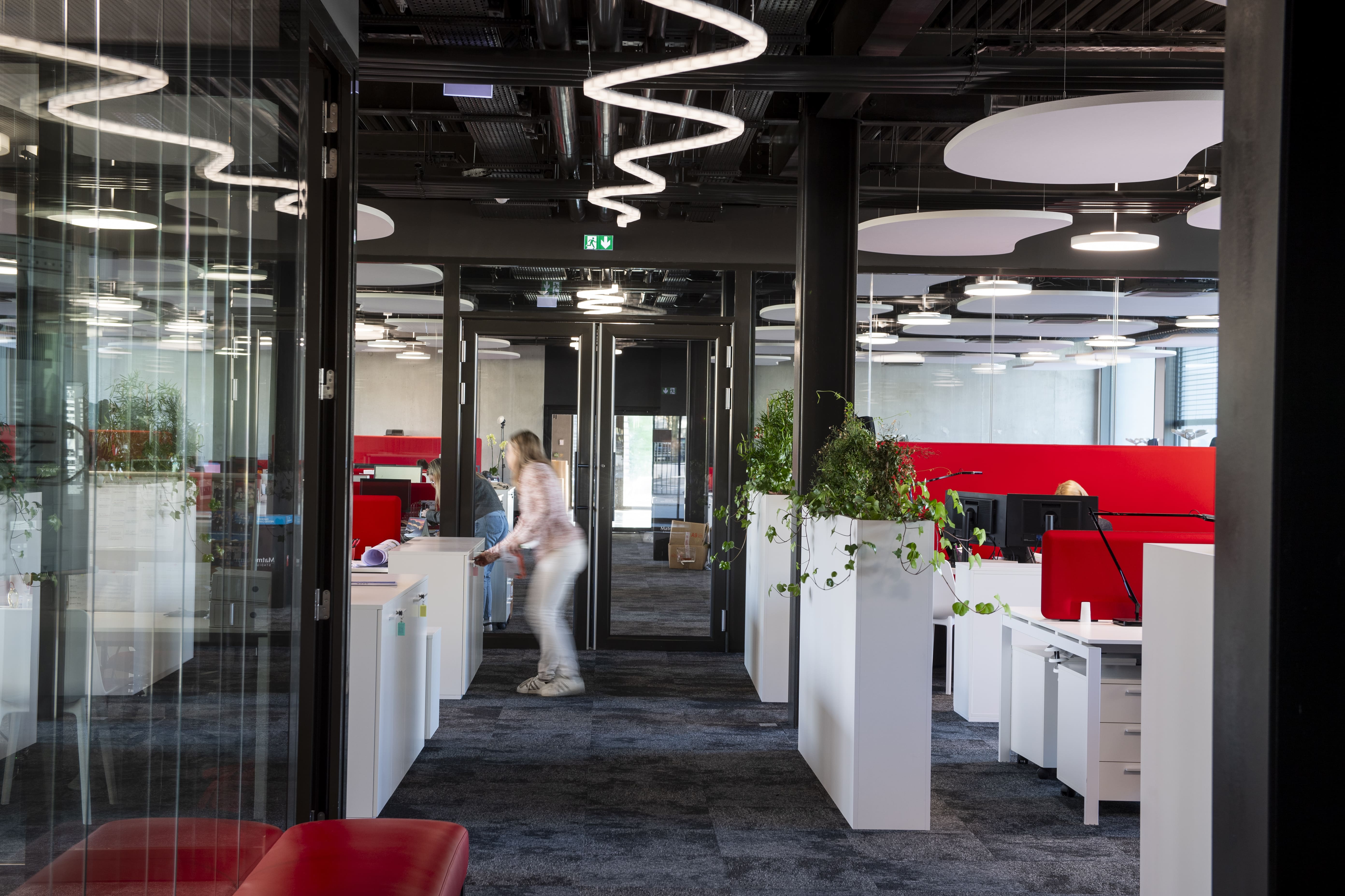 équipements bureaux plantes