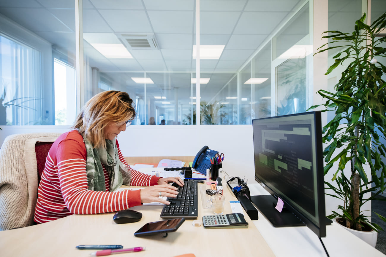 Plante bureau bien-être