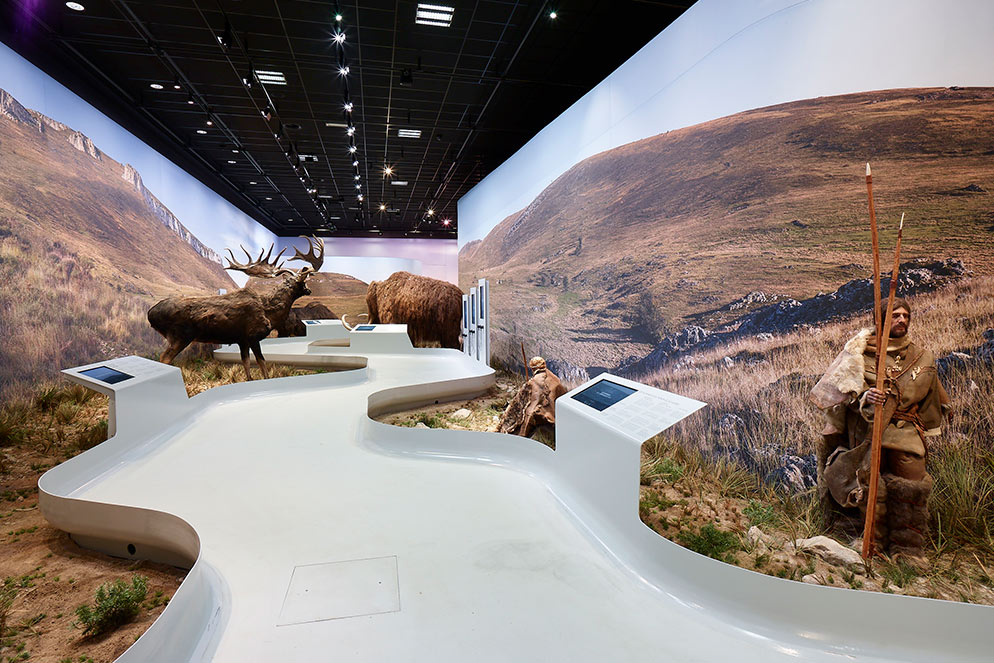 Scénographie et agencement de musée : Statues d'animaux, panneaux digitaux