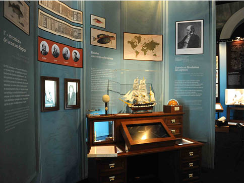 Agencement Exposition des Océans et des Hommes