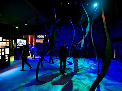 Signalétique et solutions audiovisuelles GL events