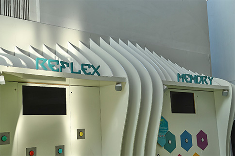 Décorations murales et signalétique lettres découpe à la forme