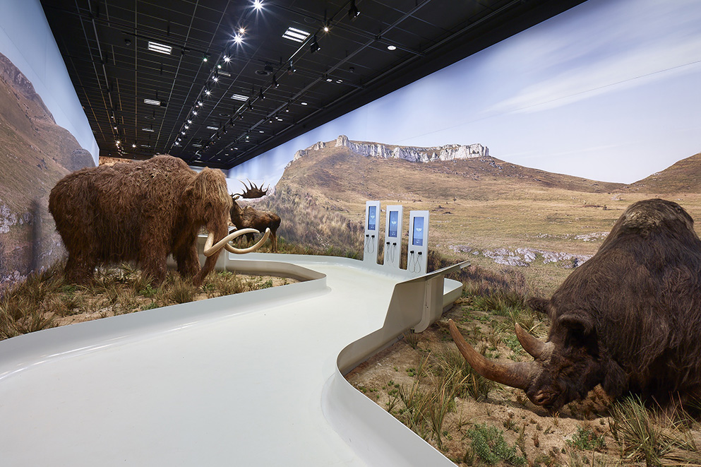 Scénographie et muséographie : Statues d'animaux, panneaux digitaux