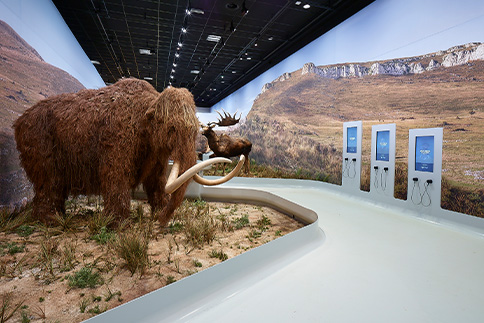 Scénographie et agencement de musée : Statues d'animaux, panneaux digitaux