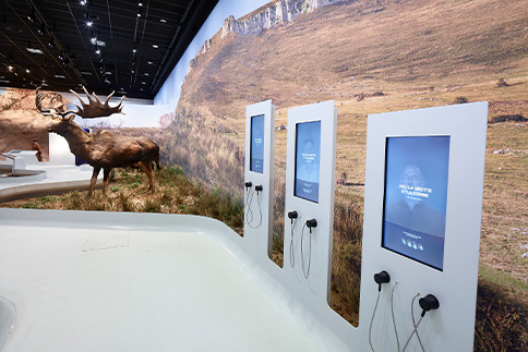 Scénographie et muséographie : Statues d'animaux, panneaux digitaux