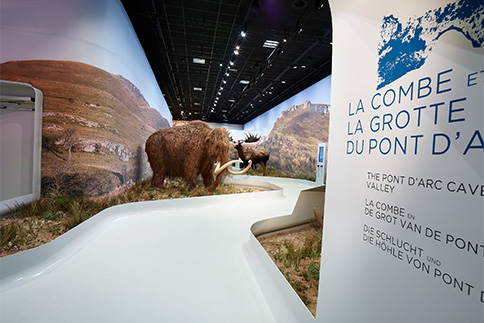 Signalétique imprimée sur mur